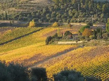 B&B Antiche Rime Gaiole in Chianti Bed & Breakfast